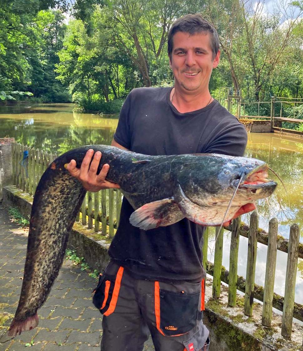 Jonas Hoschkara Waller 140 cm 16 kg Rednitz