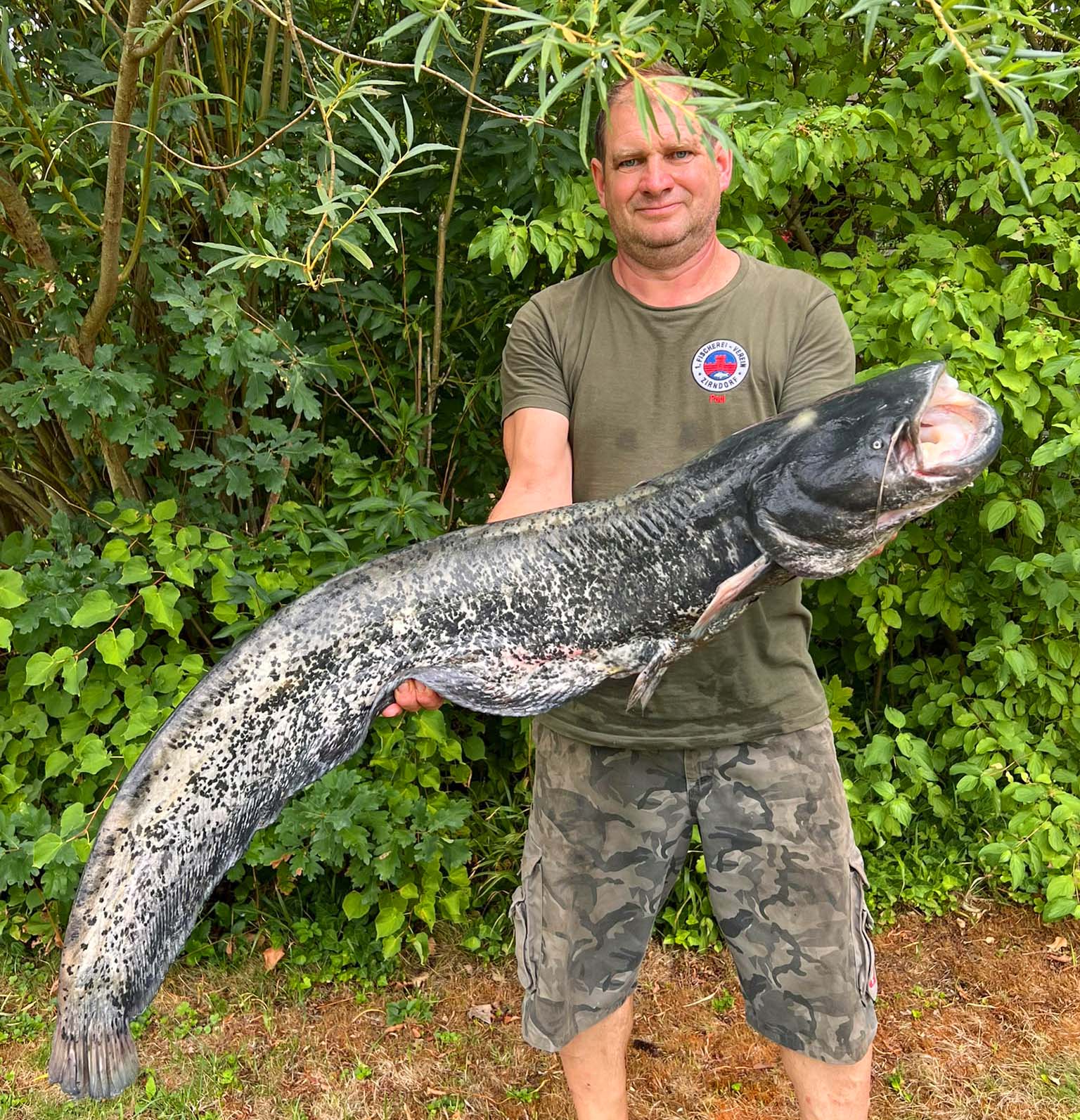 Günter Eckert Waller 130 cm 26 Pfund Rednitz
